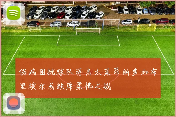 伤病困扰球队蒋光太莱昂纳多加布里埃尔或缺席柔佛之战