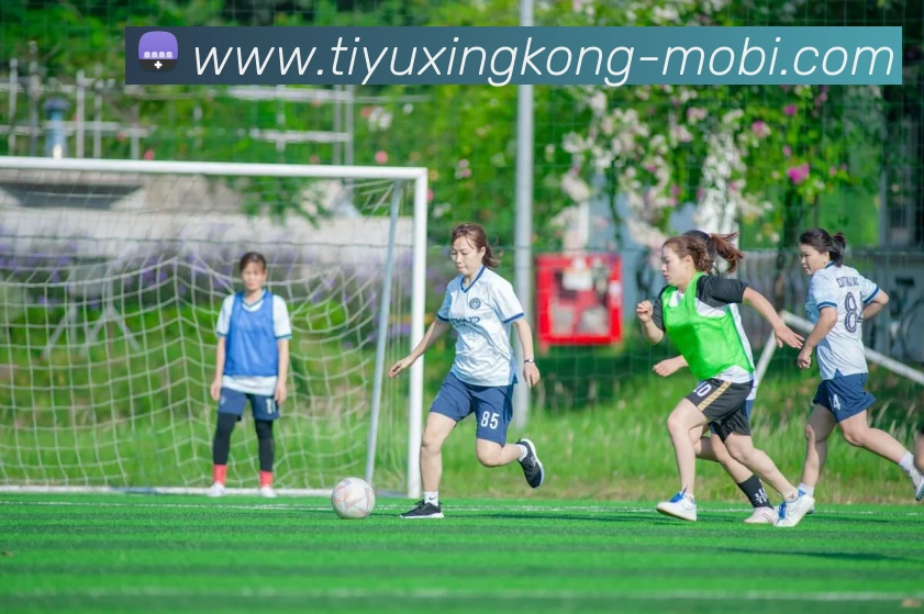 伤病困扰球队蒋光太莱昂纳多加布里埃尔或缺席柔佛之战